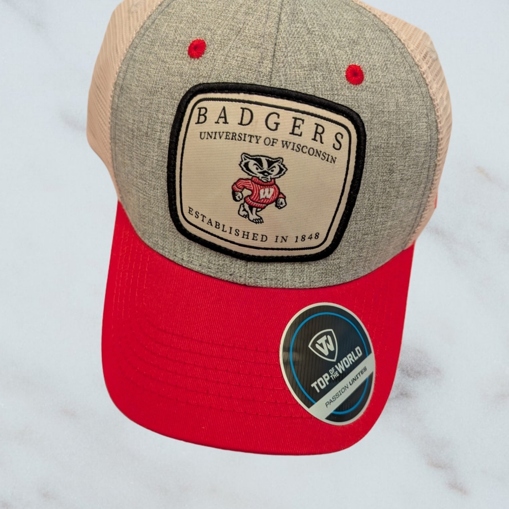 46# Top of the World Wisconsin Badgers NCAA Snapback Hat Cap Gray Adjustable